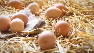 多利拍摄了母鸡在乡村木头和稻草上的窝里的有机鸡蛋